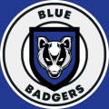 Blue Badgers